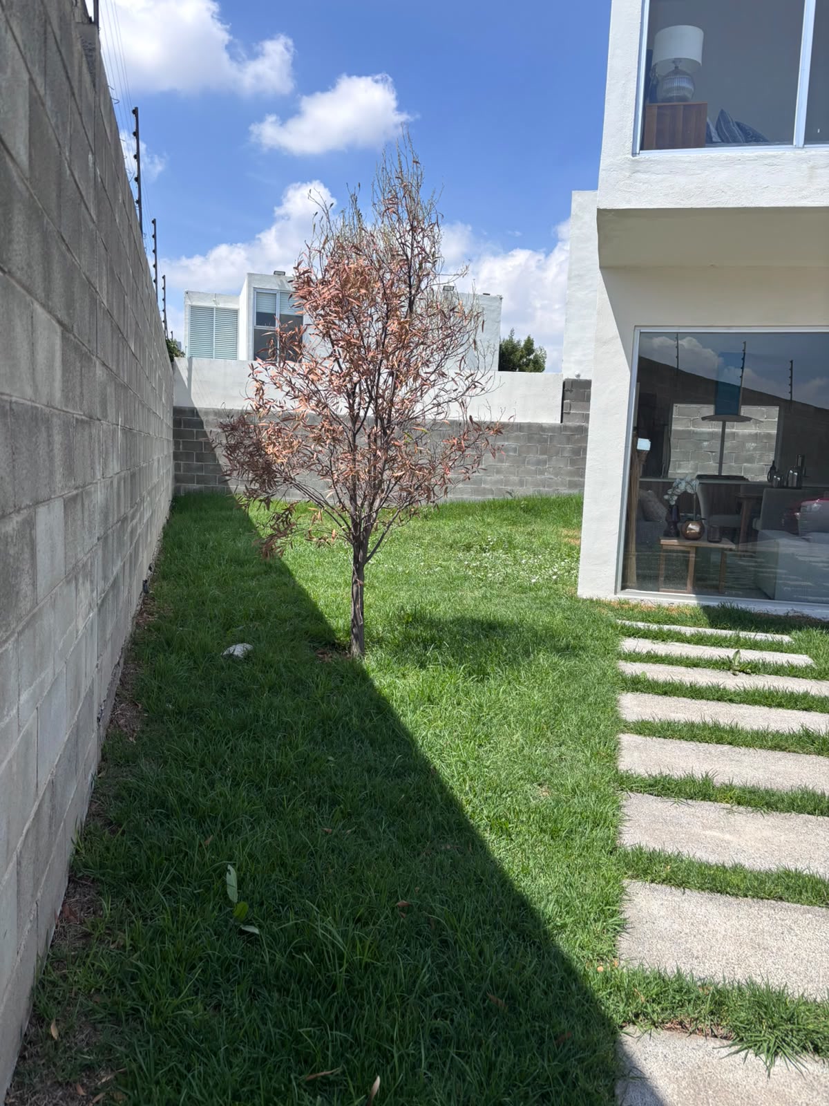 Jardín propio de 40 m² de la Casa 1