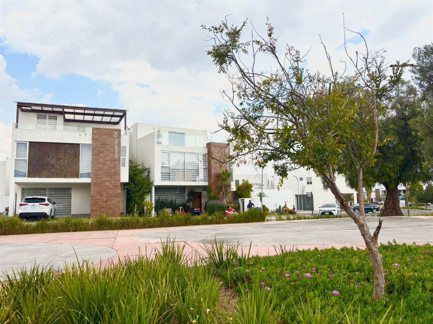 Vialidad interior con jardinería